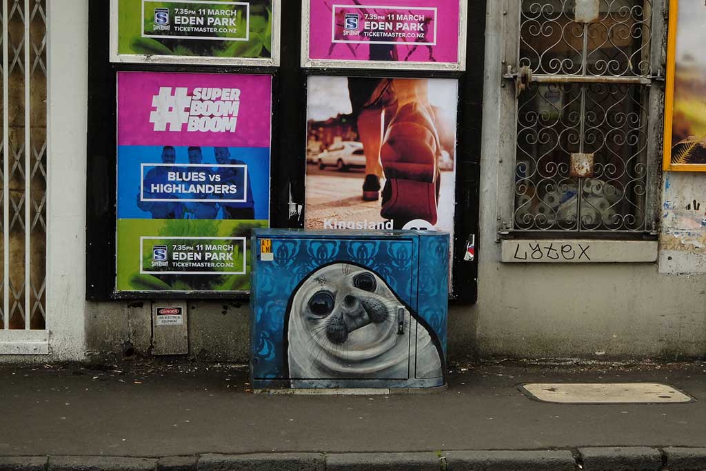 Graffiti Spotting: Streetart Seehund in Neuseeland