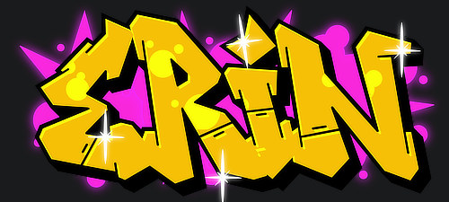 Erin Name Logo Graffiti Text Graphic