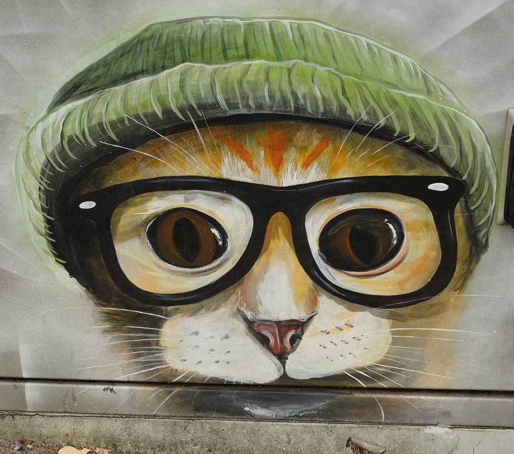 Hipster cat graffiti character
