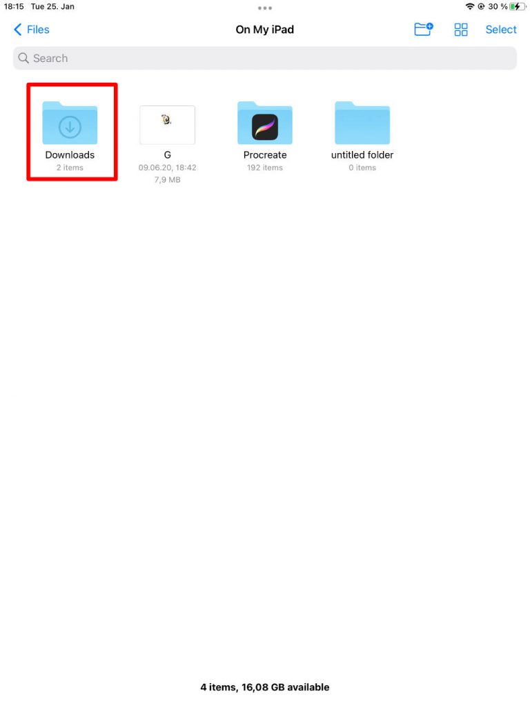 ipad download folder screenshot